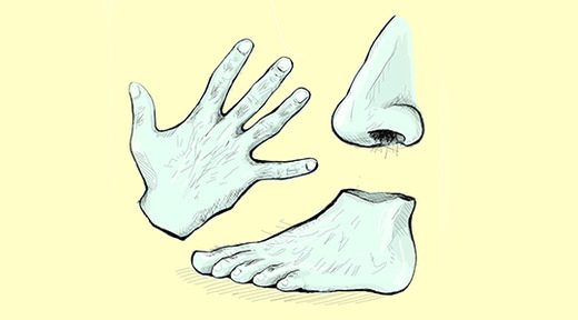 green illustration of nose, hand, and foot on yellow background