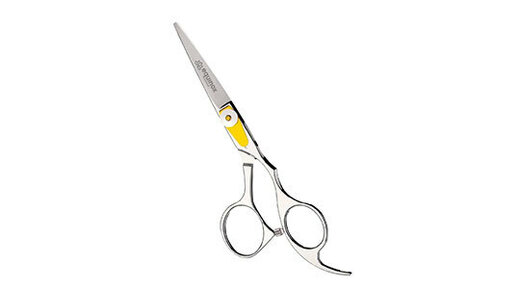 Equinox Professional Razor Edge Series Stainless Steel Hair Cutting Scissors