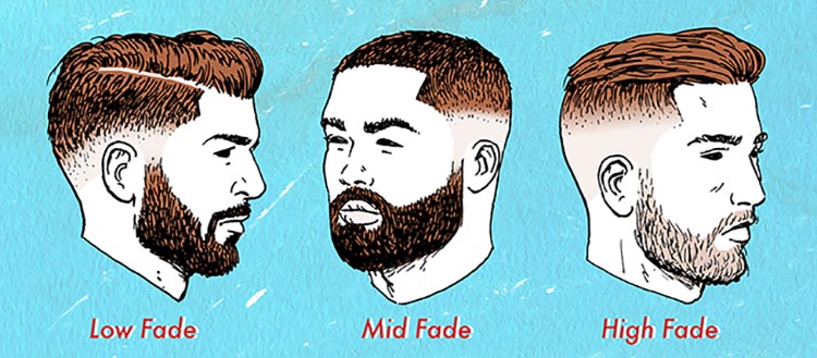 illustration of low fade, mid fade, and high fade haircuts for men. 